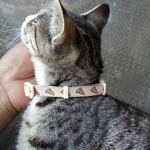 Pusheen adjustable pizza collar for pet NWT - Picture 3 of 10